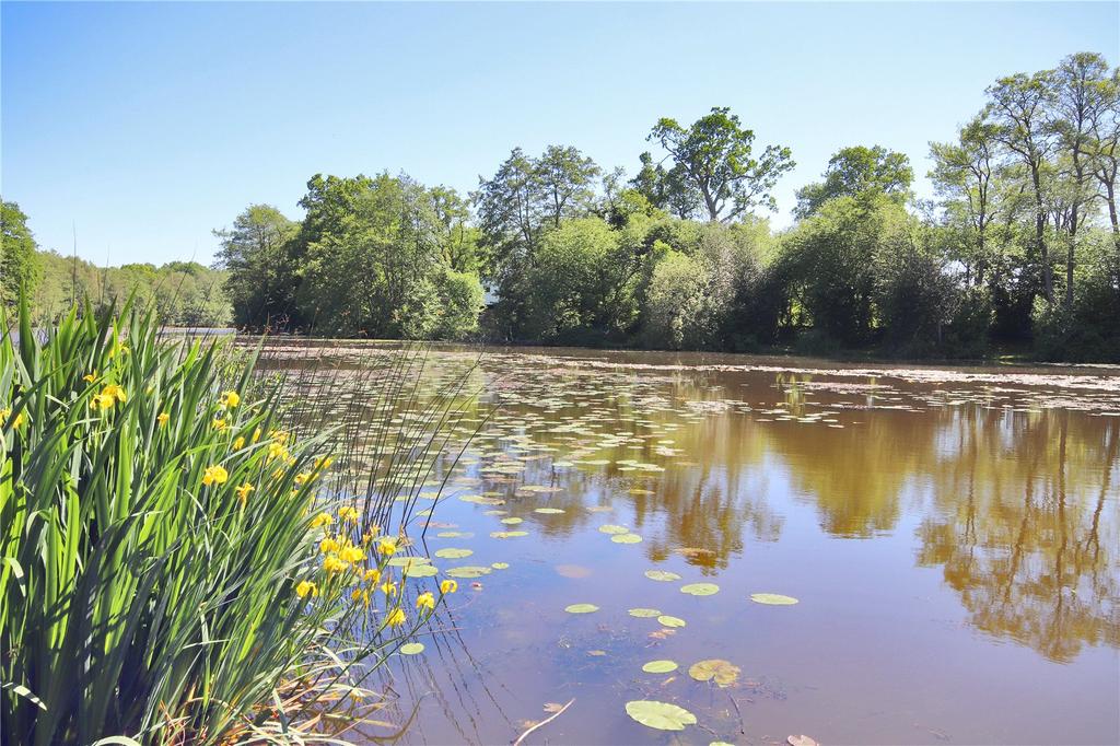 Lake