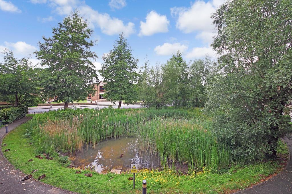 View Over Duck Pond