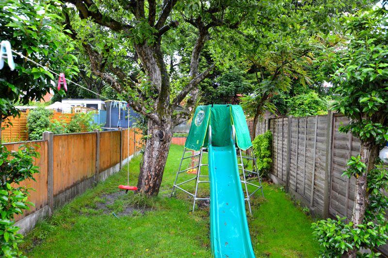 Back garden