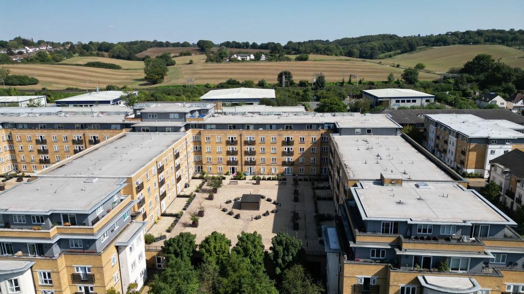 Rear aspect