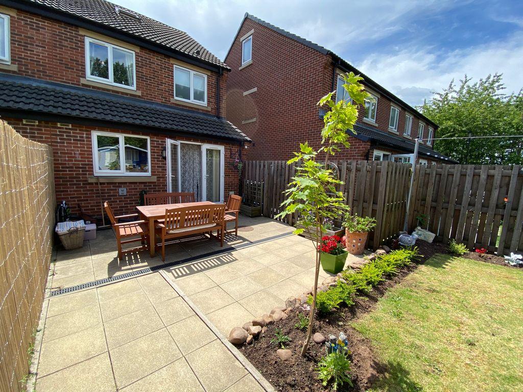 Garden at Back