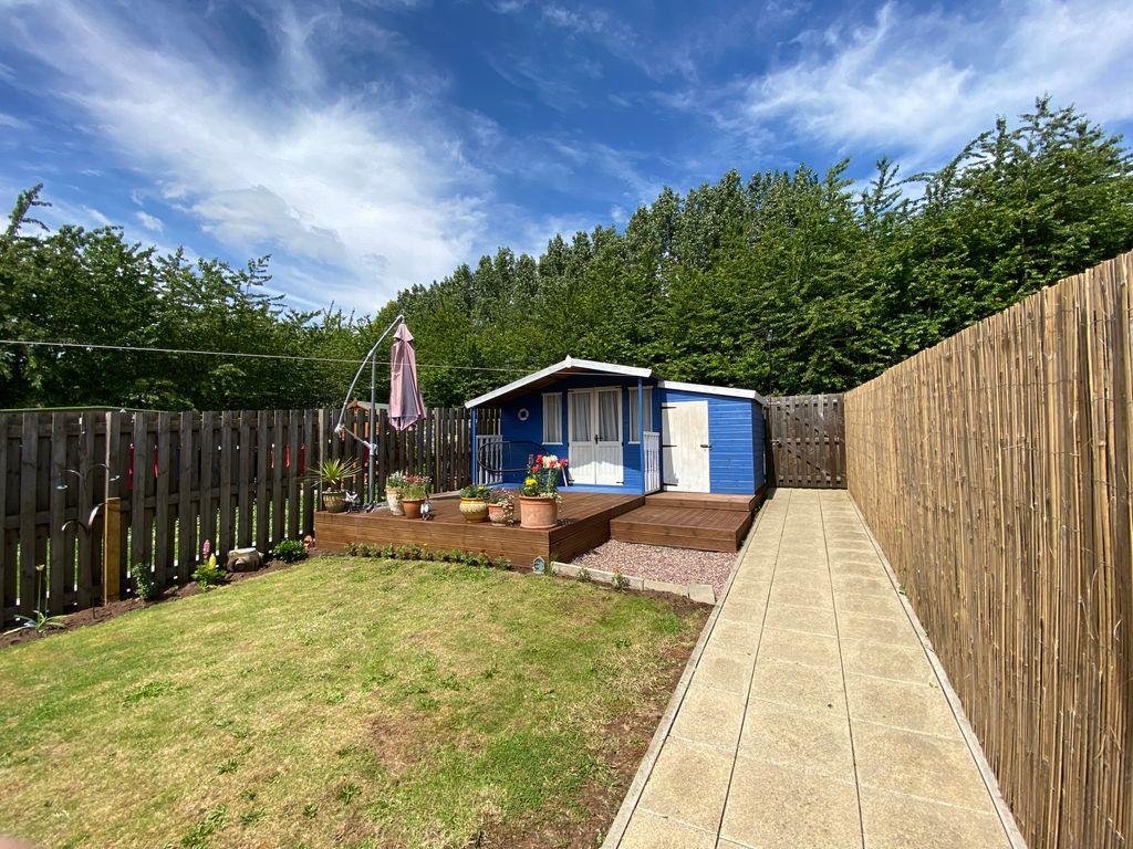 Garden at Back