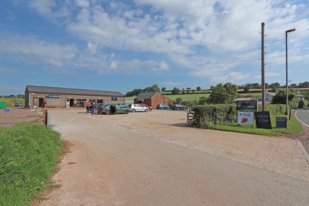 Halberton Farm Shop