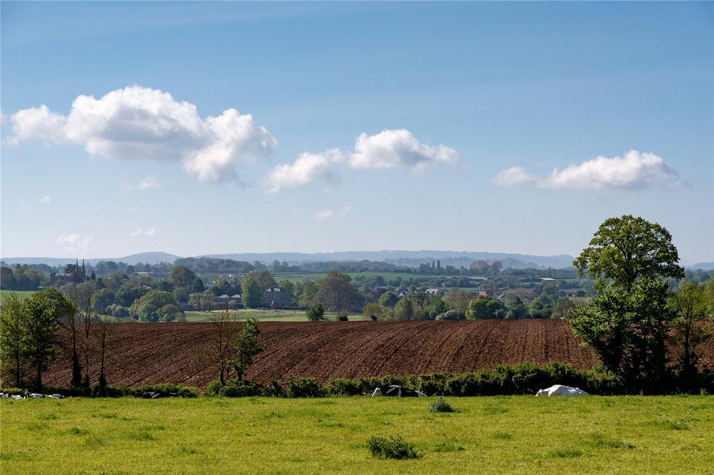 Country Views