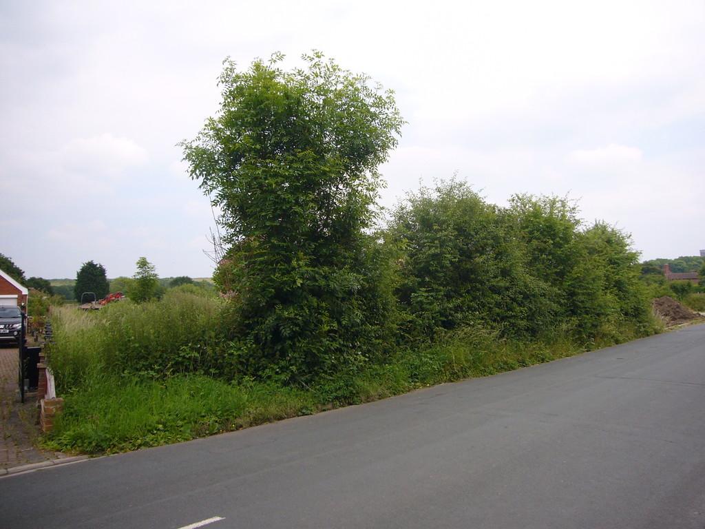 Park Lane, Barlow, Nr Selby, YO8 8EW Land for sale £95,000
