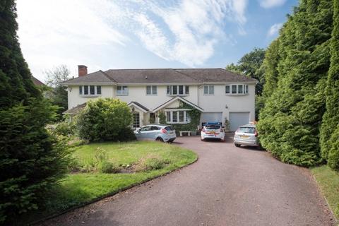 The Drey Squirrel Walk, Sutton Coldfield, B74 3AU