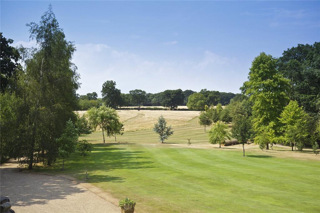 Grounds