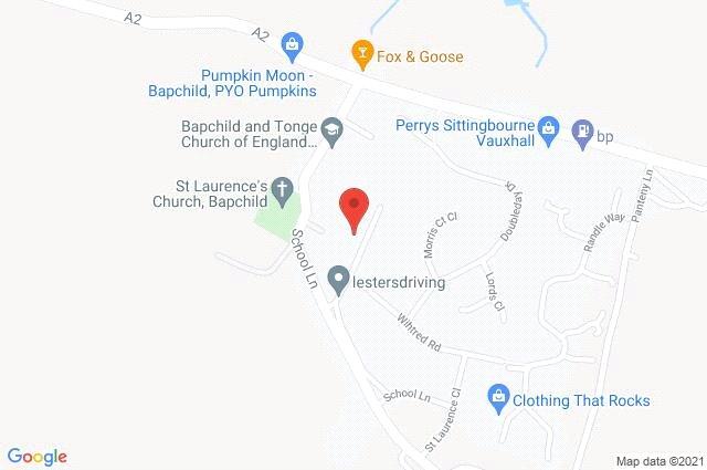 Google Maps Image