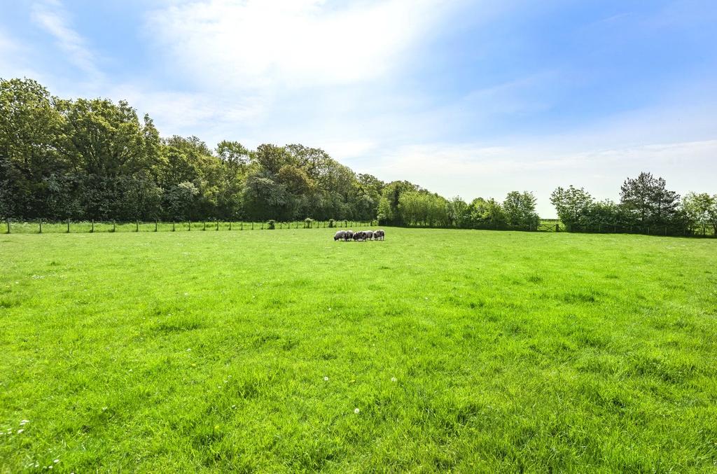 Grounds