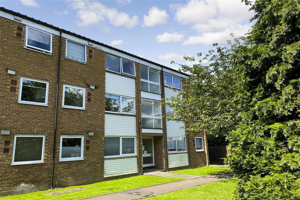 Block View