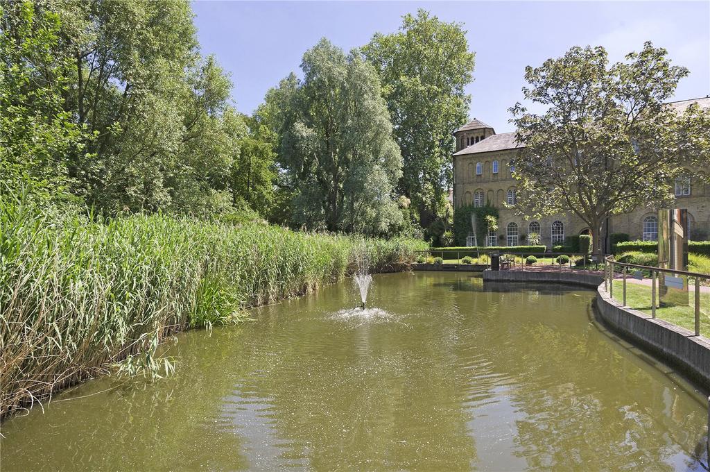 Pond