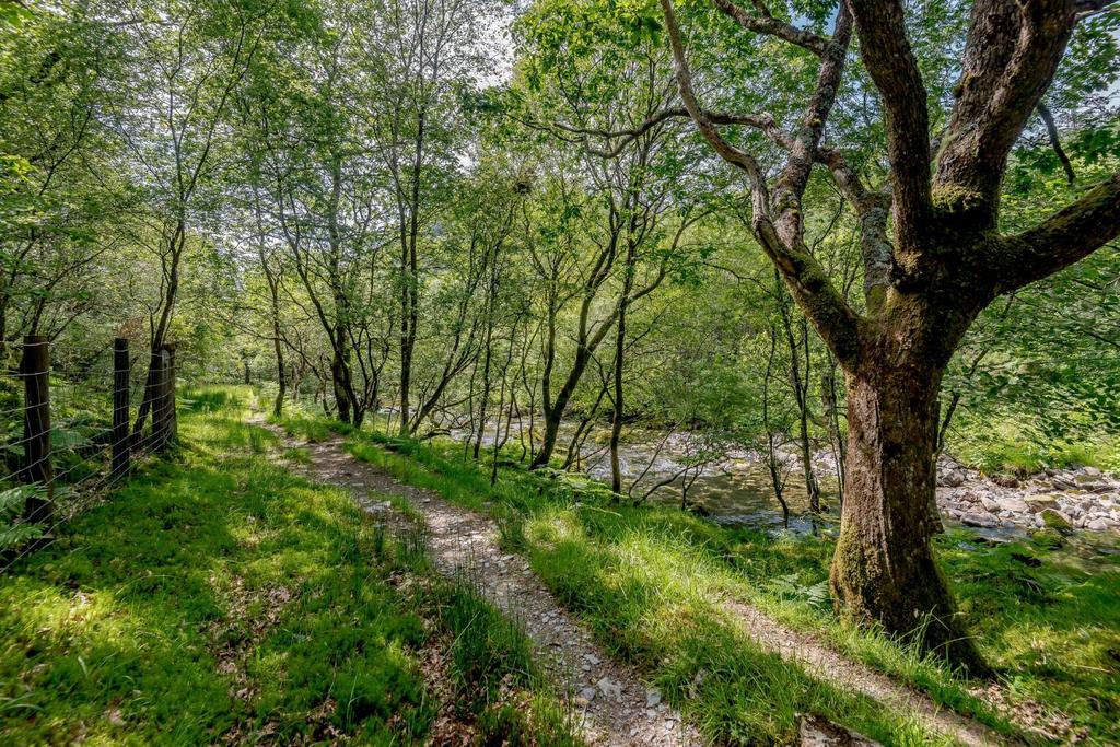 Woodland