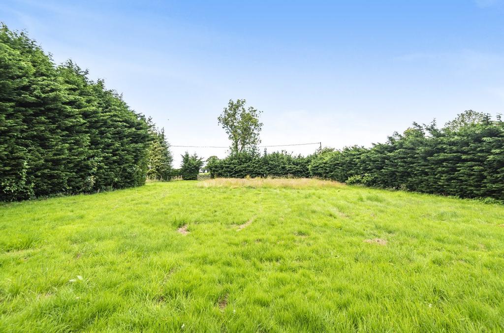 Site