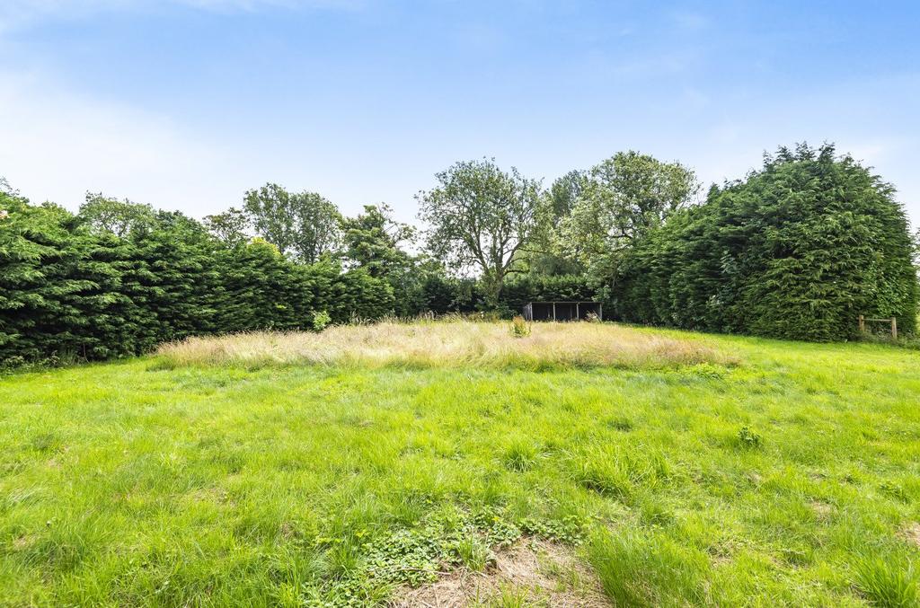 Site