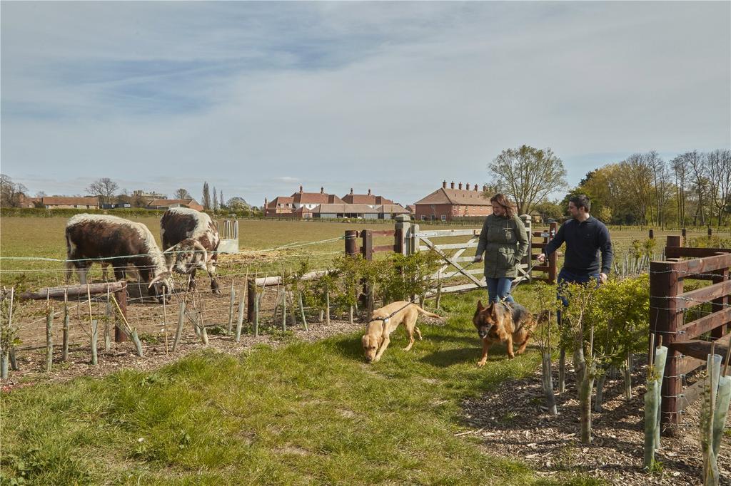 Circular Walk