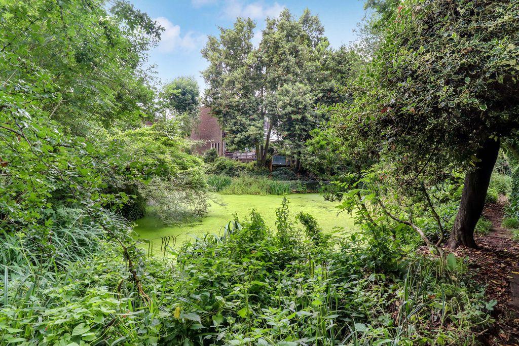 Communal Garden with Pond