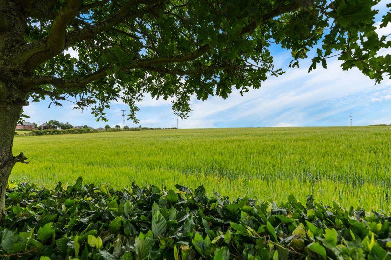 Country views