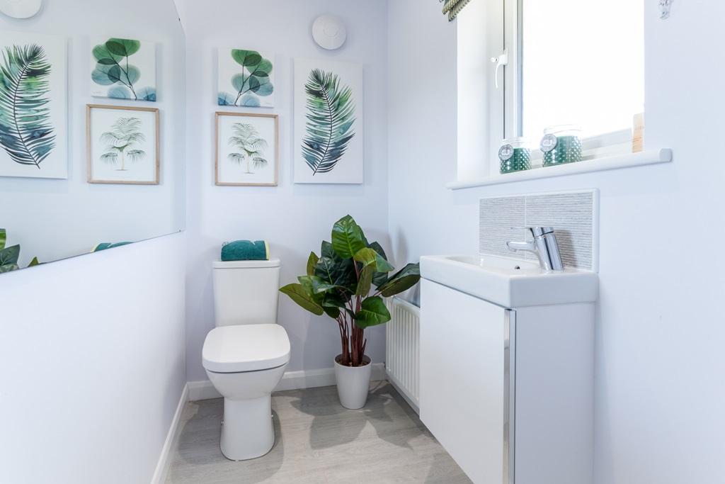 Convenient downstairs toilet