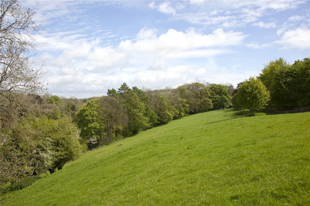 Pasture Land