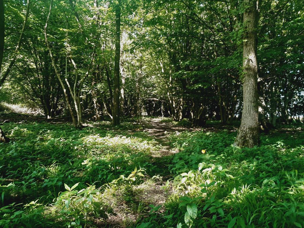 Great Dunmow Land £140,000