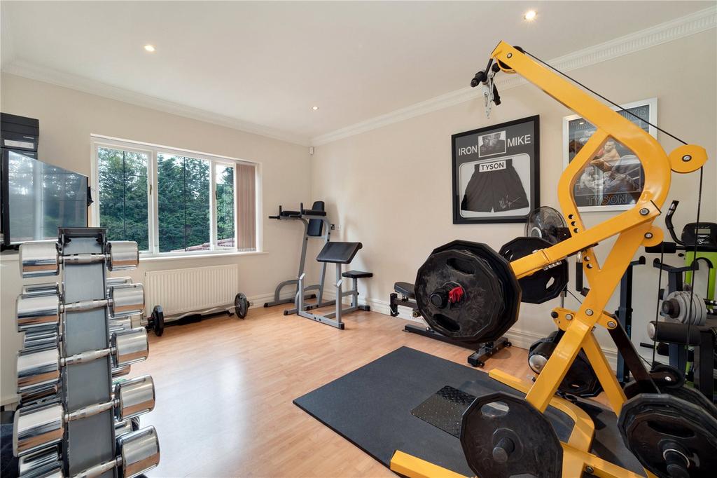 Gym/Bedroom