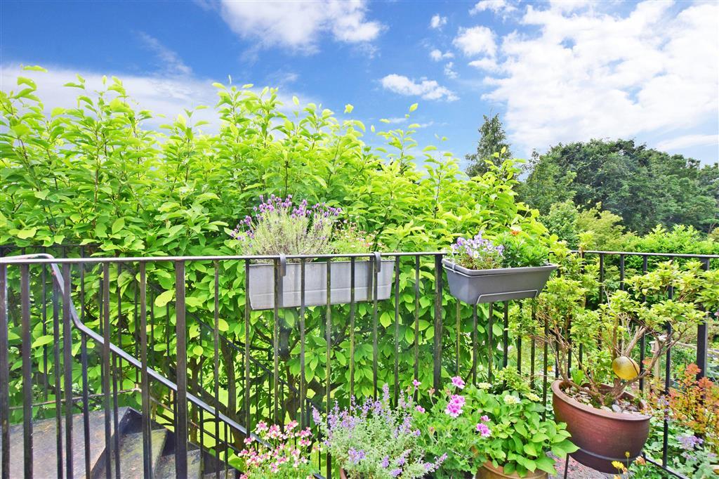 Balcony / Terrace