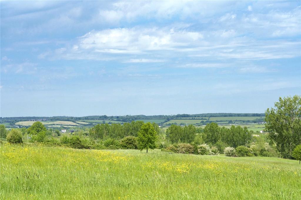 Land and View