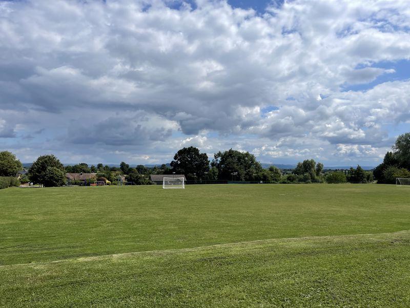 Playing Field and