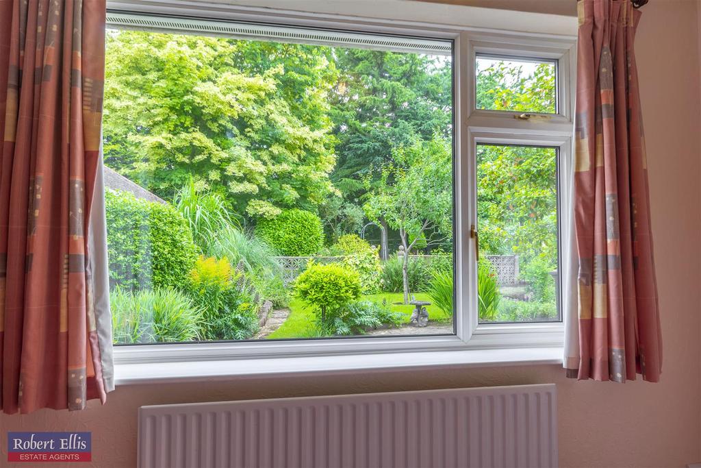 Window view