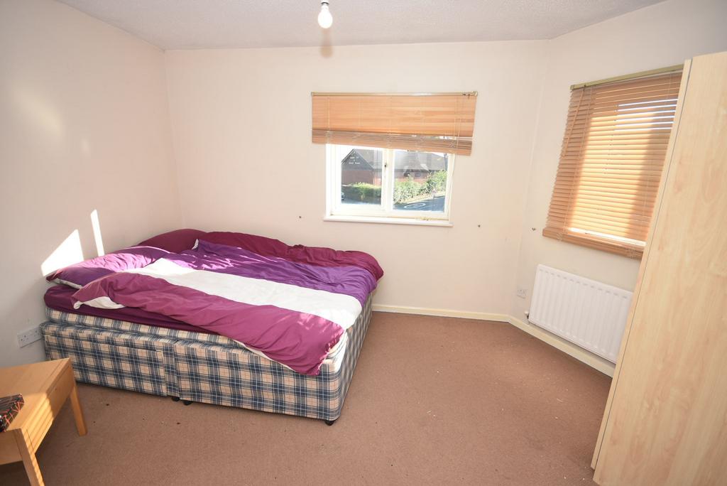 Photograph 5