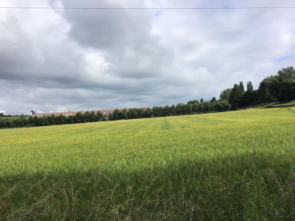 Welsh Road, Cubbington, Leamington... Land £9,500
