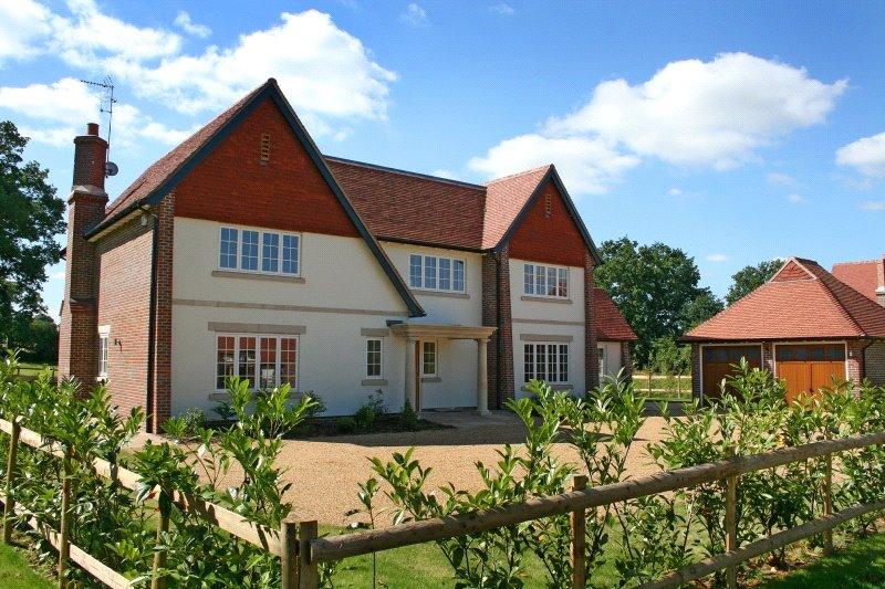 property for sale in ockham surrey