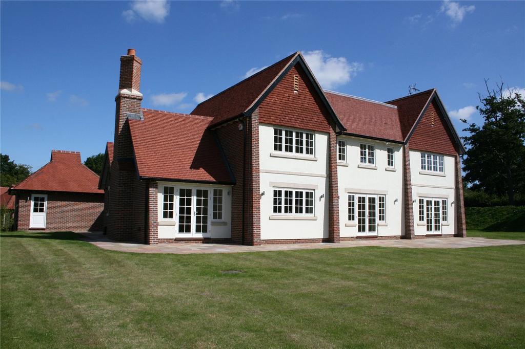 Rear Elevation