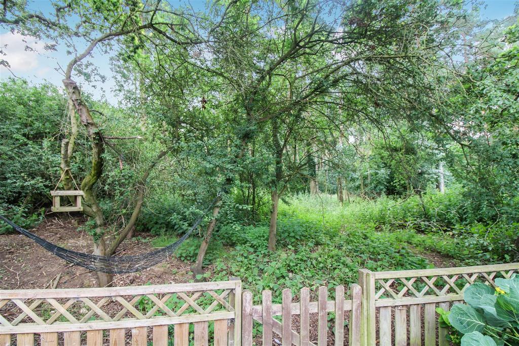 Woodland view