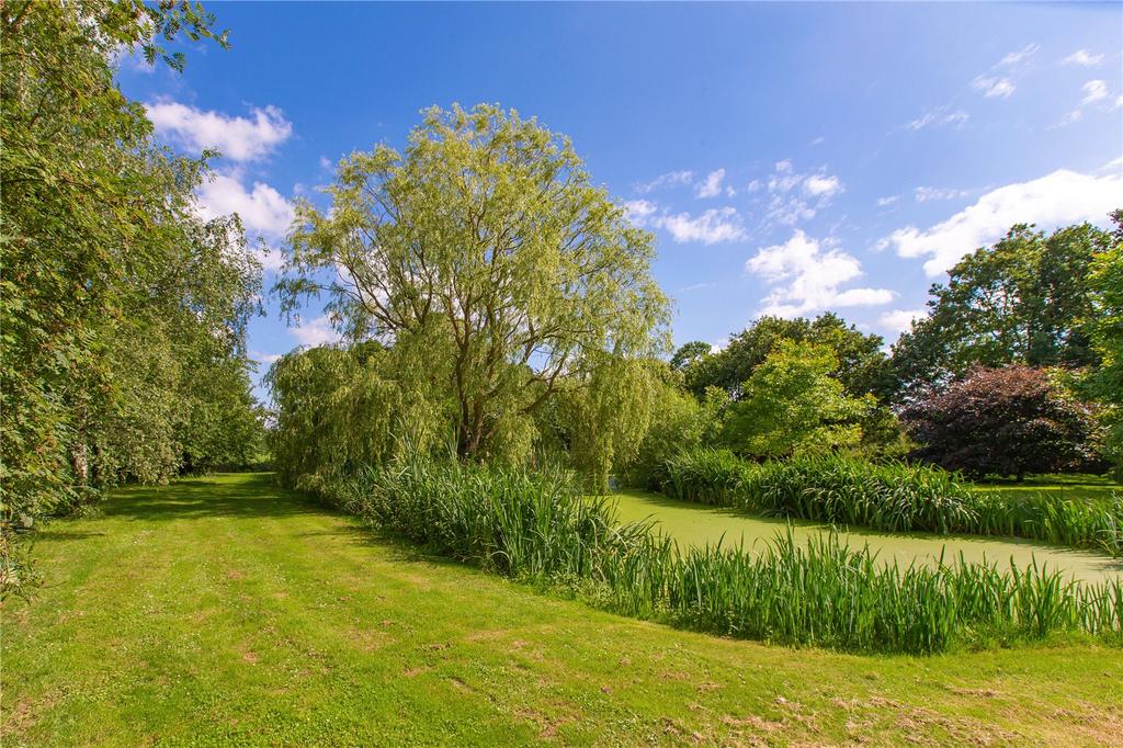 Pond