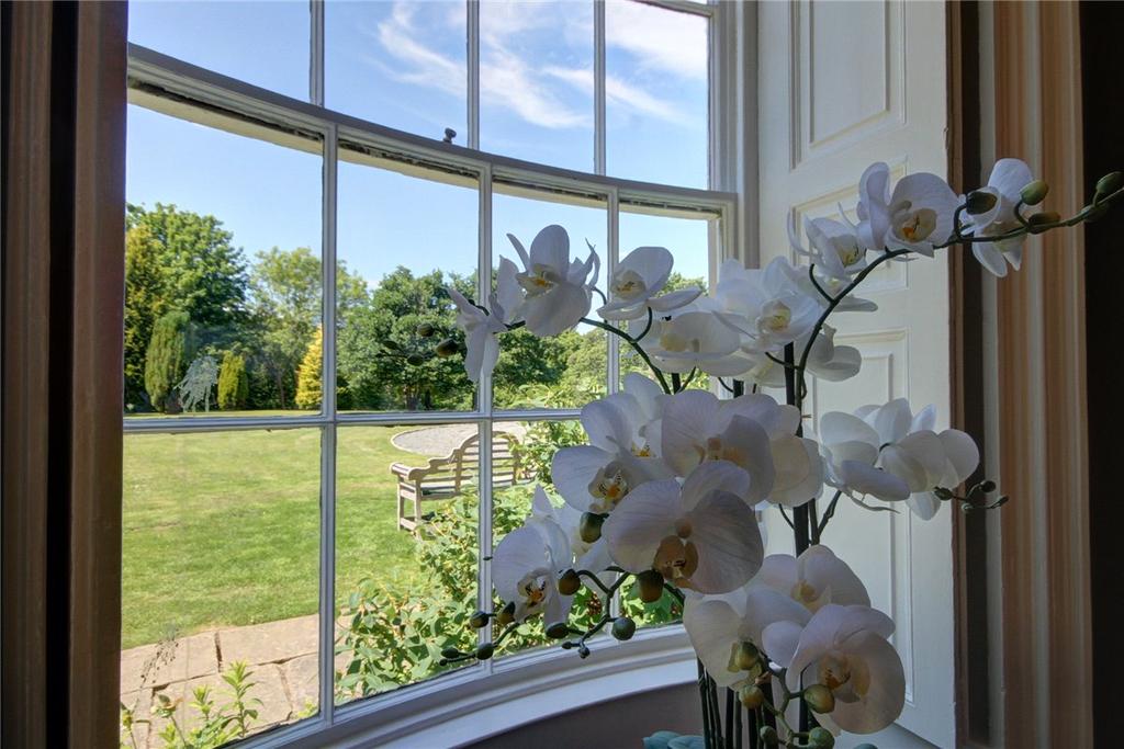 Dining Room Window 2