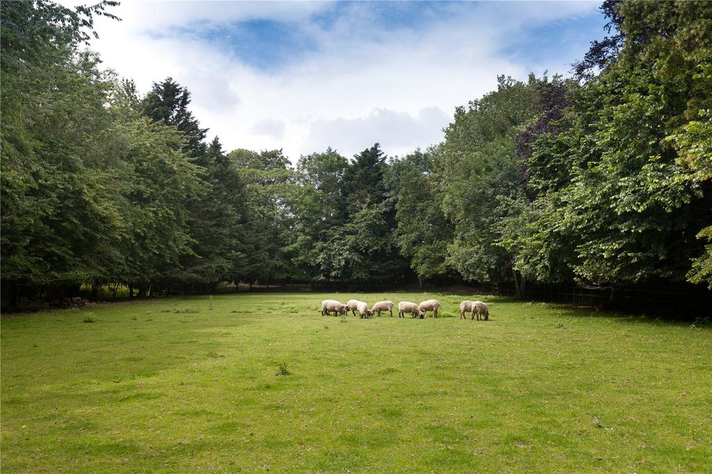 Field
