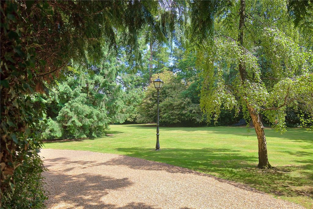 Driveway and Garden