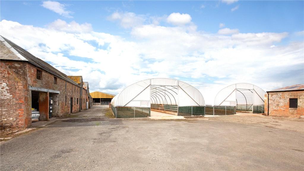 Lambing Polytunnels