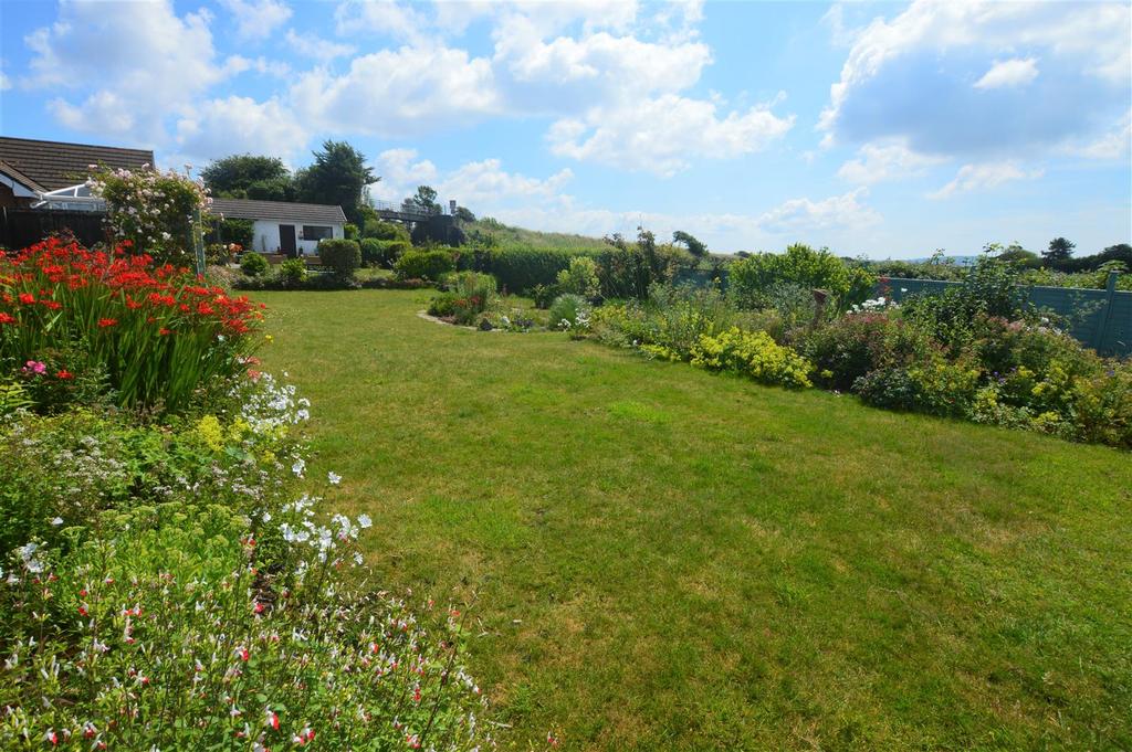 Lawn1.JPG