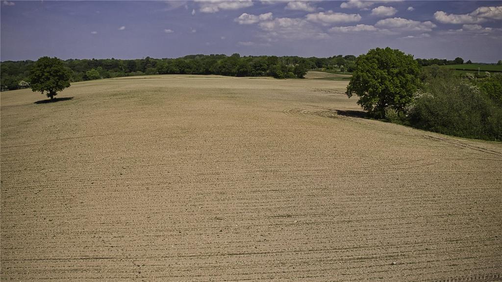Picture No. 18
