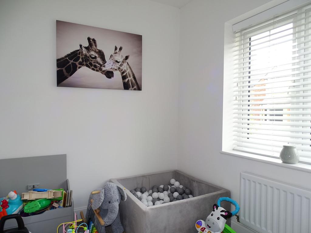 Play Room/Snug