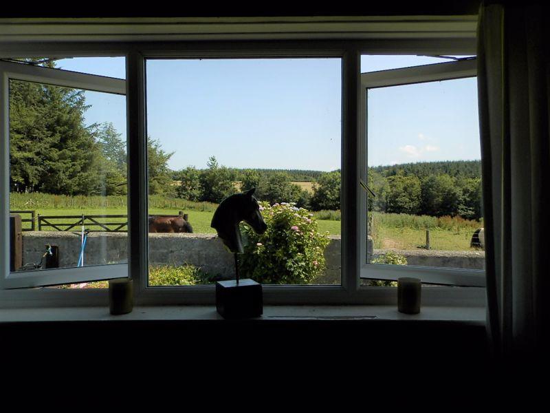 View From Bed 1