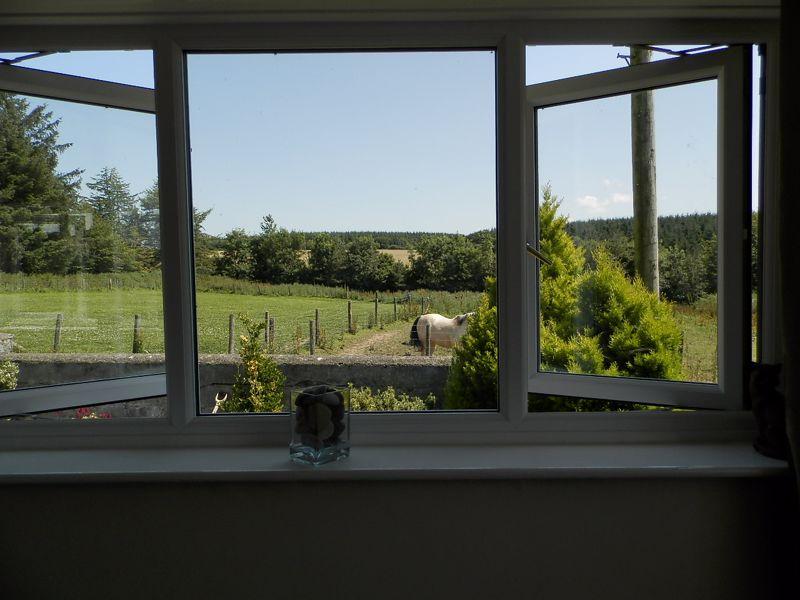 View From Master