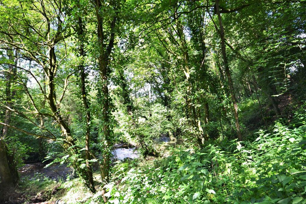 Dsc 0162.jpg