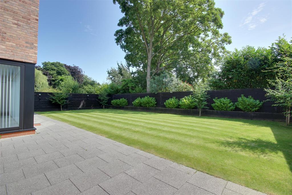 Patio Area