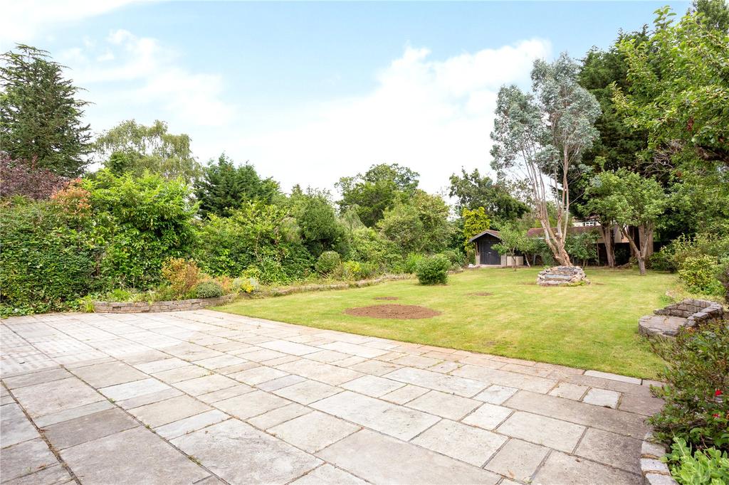 Patio Area