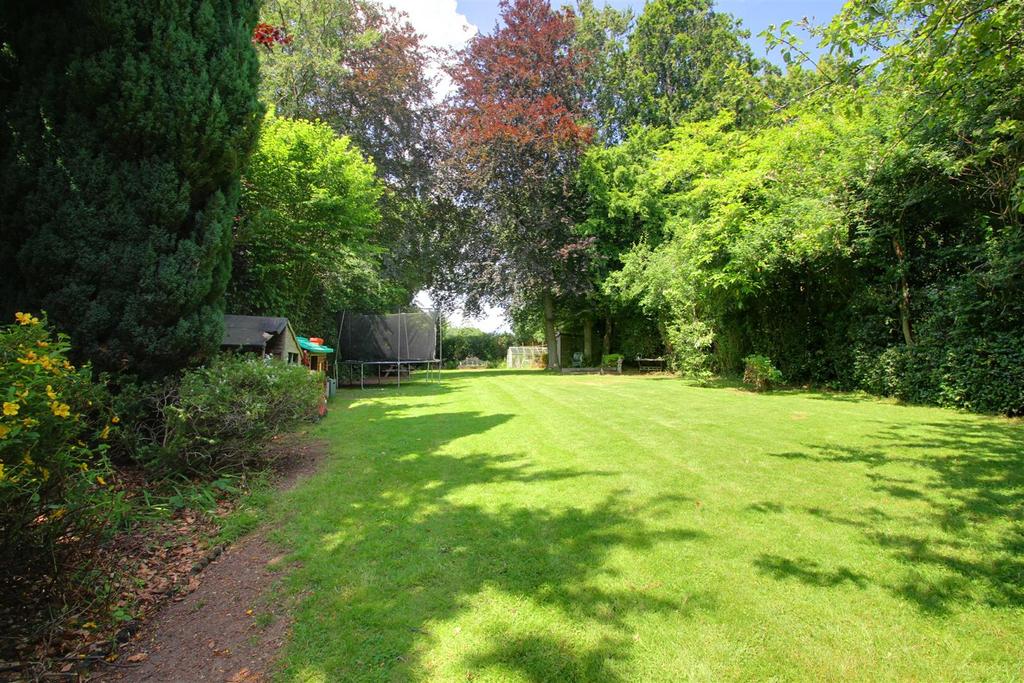 Garden 1.jpg