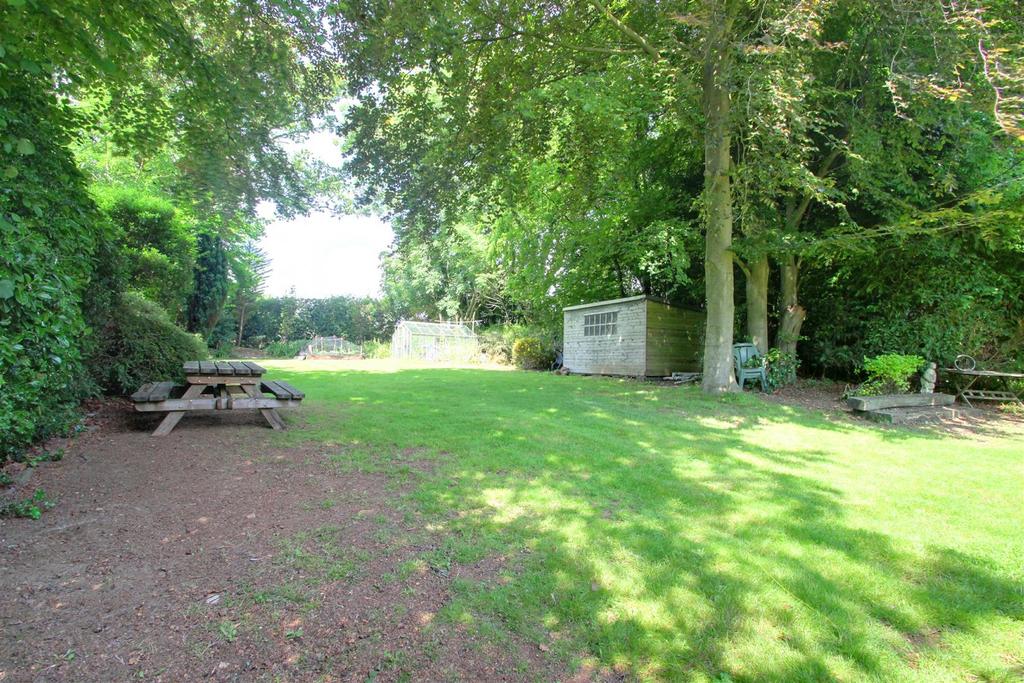 Garden 2.jpg