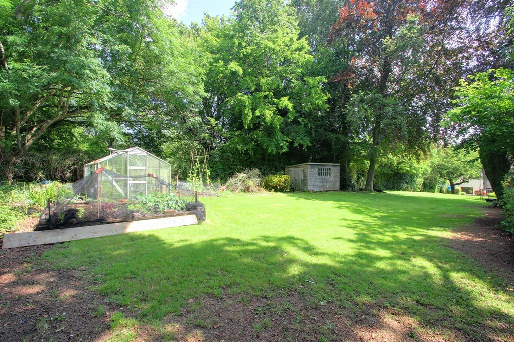 Garden 5.jpg